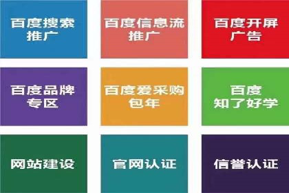 谷歌竞价案例：快速提升品牌影响力的广告策略